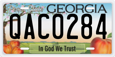 GA license plate QAC0284