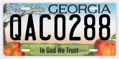 GA license plate QAC0288