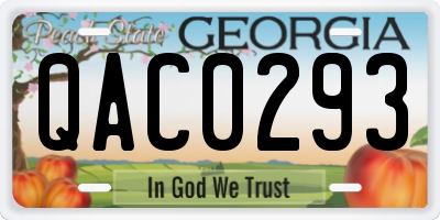 GA license plate QAC0293