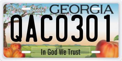 GA license plate QAC0301