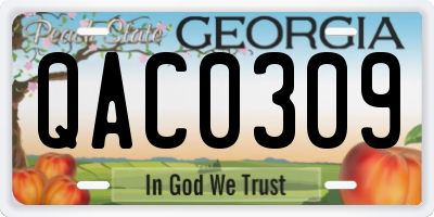 GA license plate QAC0309