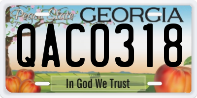 GA license plate QAC0318
