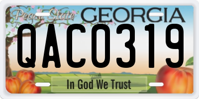 GA license plate QAC0319