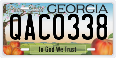 GA license plate QAC0338