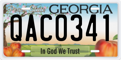 GA license plate QAC0341