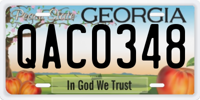 GA license plate QAC0348