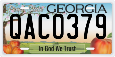 GA license plate QAC0379