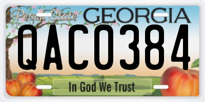 GA license plate QAC0384