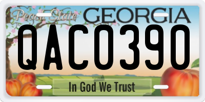 GA license plate QAC0390