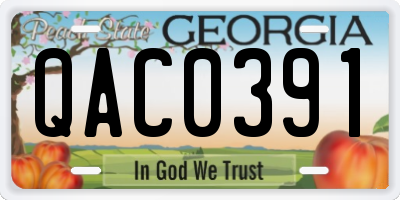 GA license plate QAC0391