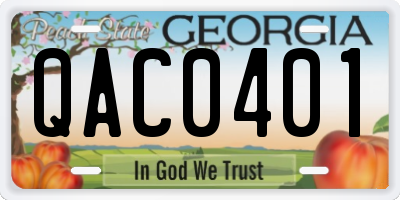 GA license plate QAC0401