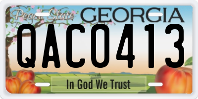 GA license plate QAC0413
