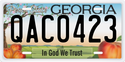 GA license plate QAC0423