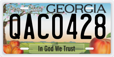 GA license plate QAC0428