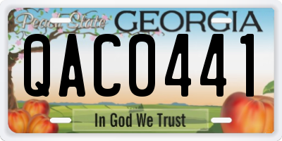 GA license plate QAC0441