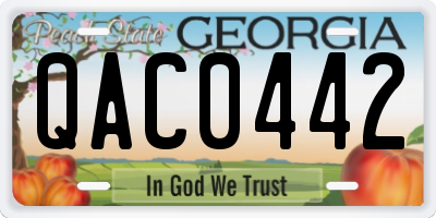 GA license plate QAC0442
