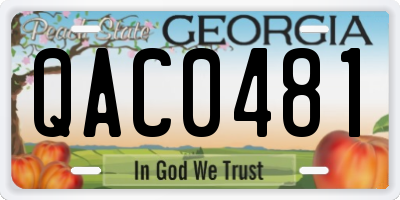 GA license plate QAC0481