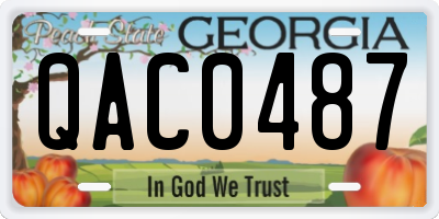 GA license plate QAC0487