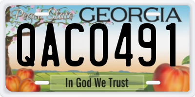 GA license plate QAC0491