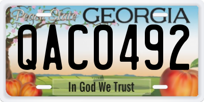 GA license plate QAC0492