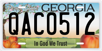 GA license plate QAC0512