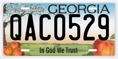 GA license plate QAC0529