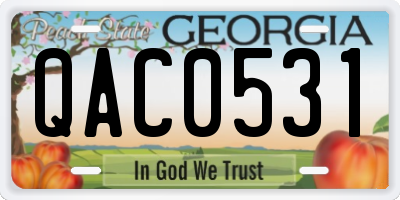 GA license plate QAC0531