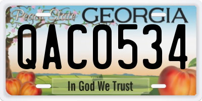 GA license plate QAC0534