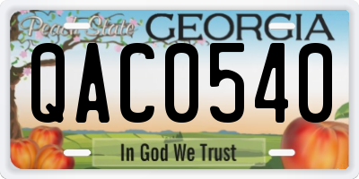 GA license plate QAC0540