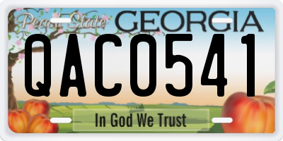 GA license plate QAC0541