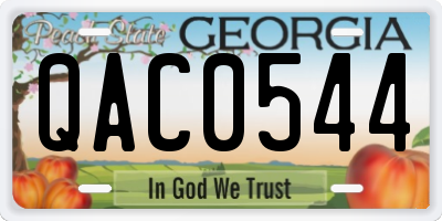 GA license plate QAC0544