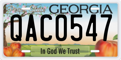 GA license plate QAC0547