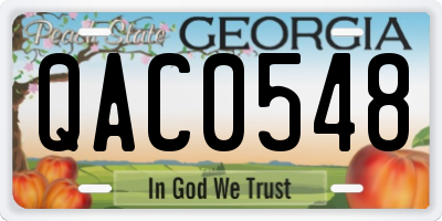 GA license plate QAC0548
