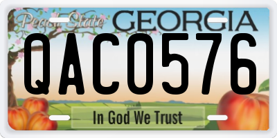 GA license plate QAC0576