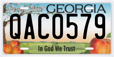GA license plate QAC0579