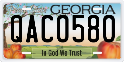 GA license plate QAC0580