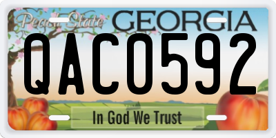 GA license plate QAC0592