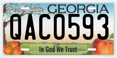 GA license plate QAC0593