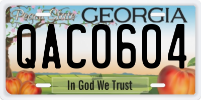 GA license plate QAC0604