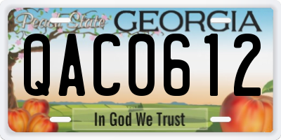 GA license plate QAC0612
