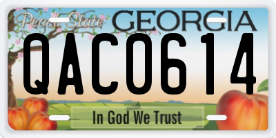GA license plate QAC0614