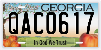 GA license plate QAC0617