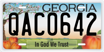 GA license plate QAC0642