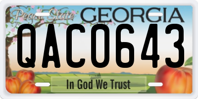 GA license plate QAC0643