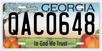 GA license plate QAC0648