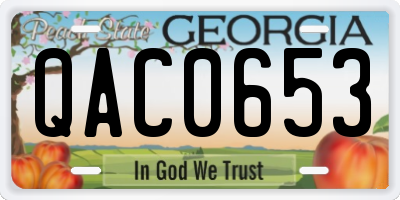 GA license plate QAC0653