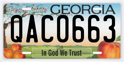 GA license plate QAC0663