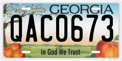 GA license plate QAC0673