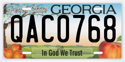 GA license plate QAC0768