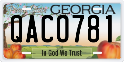 GA license plate QAC0781